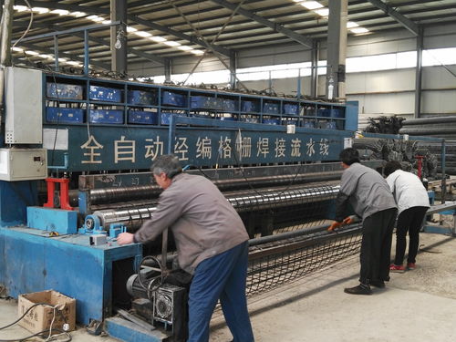 单向钢塑格栅 海口120kn防沉降钢塑格栅 工厂